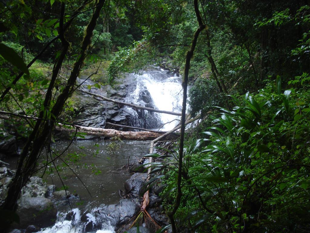 Christmas Creek Cafe & Cabins Lamington Экстерьер фото